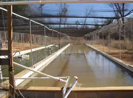 Colorite Raceway Photos